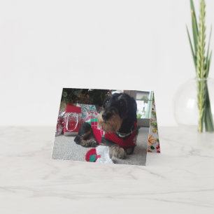 Happy Howlidays Holiday Card