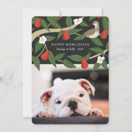 Happy Howlidays Photo | Partridge Pear Tree Holiday Card