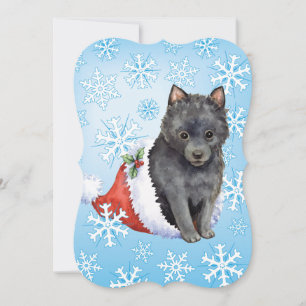 Happy Howlidays Schipperke Holiday Card