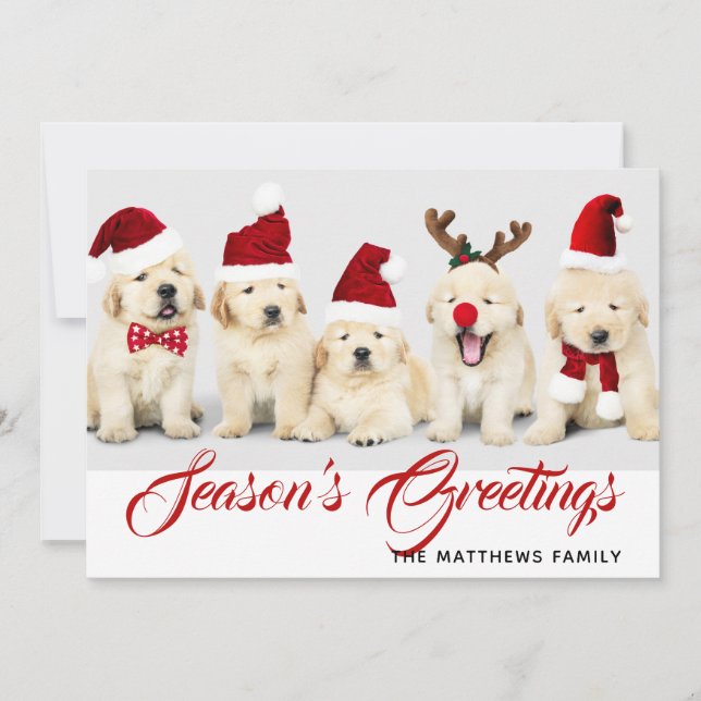 Happy Howlidays Season's Greetings Photo Christmas Holiday Card (Front)