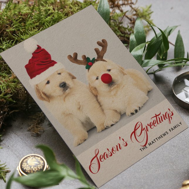 Happy Howlidays Season's Greetings Photo Christmas Holiday Card (Creator Uploaded)