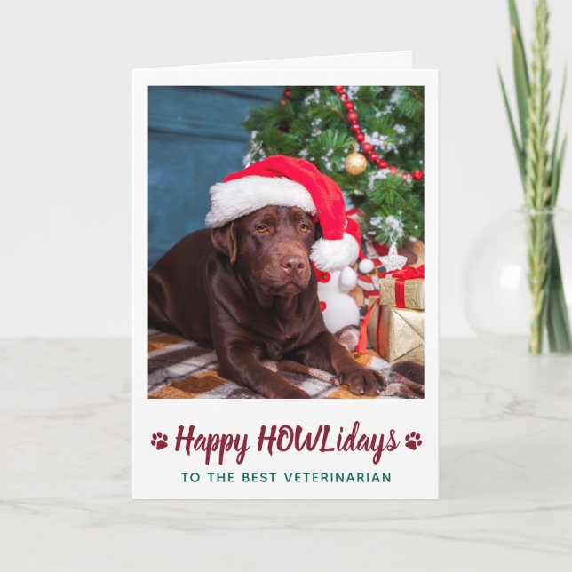 Happy HOWLidays Veterinarian Custom Pet Photo  Holiday Card (Front)