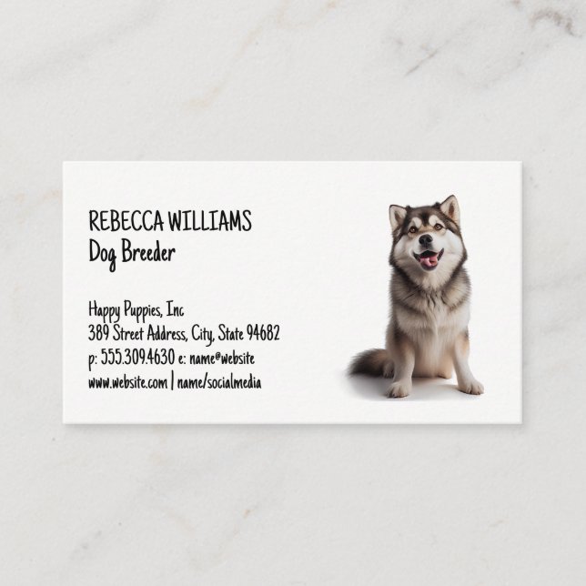 Happy Husky Sitting | Animals Business Card (Front)
