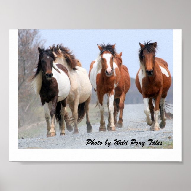 Happy Joggers Poster (Front)