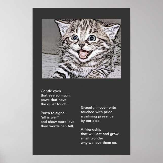 Happy Kitten Photocopy Effects Poster (Front)