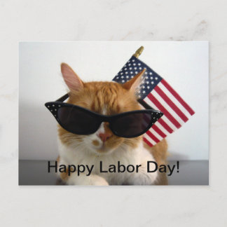 Happy Labour Day Cool Cat with Flag Postcard