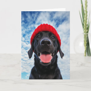 Happy Labrador in a Red Beanie Under a Blue Sky Invitation