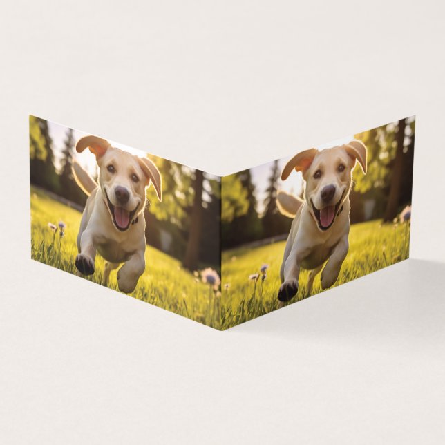 Happy Labrador Puppy Running  (Outside)