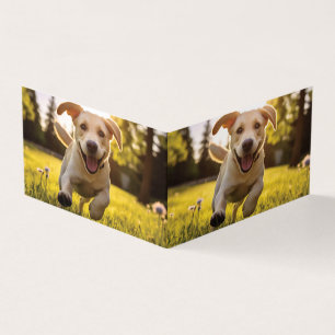 Happy Labrador Puppy Running 