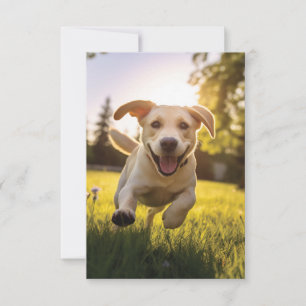 Happy Labrador Puppy Running Announcement