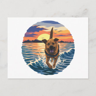 Happy Labrador Running Through Golden Sunset Ocean Postcard