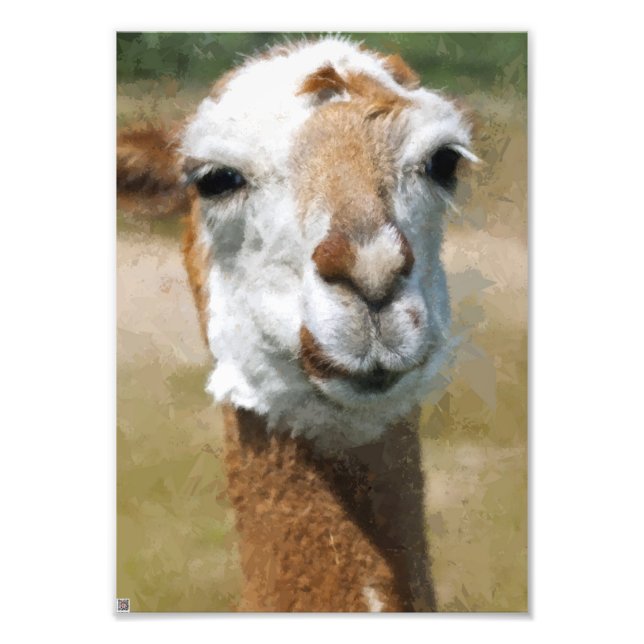 Happy Lama, Painting Effect Photo Print (Front)
