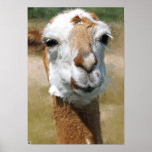 Happy Lama, Painting Effect Poster