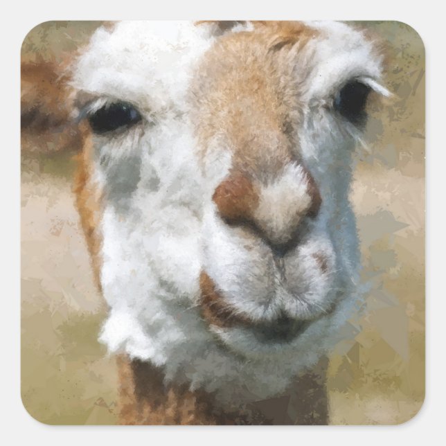 Happy Lama, Painting Effect Square Sticker (Front)