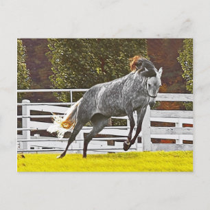 Happy Leaping Horse Postcard