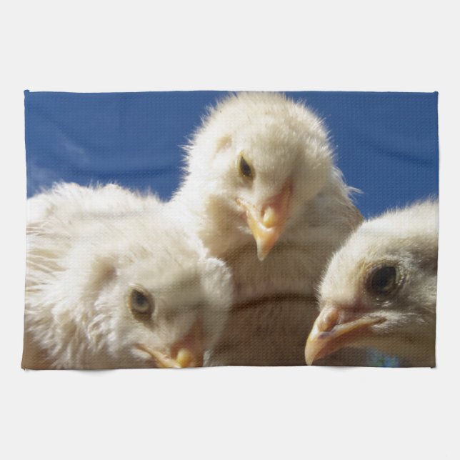 happy little chicken chick tea towel (Horizontal)