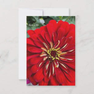 Happy Little Zinnia Card