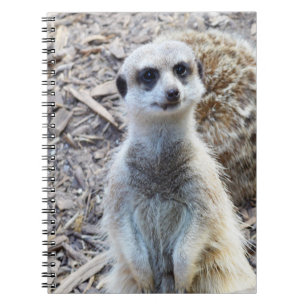 Happy Meerkat, Notebook