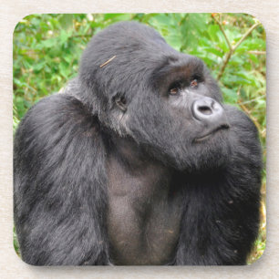 Happy Monkey Coaster