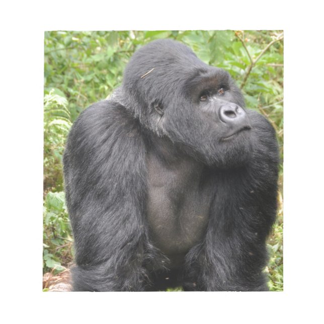 Happy Monkey Notepad (Front)