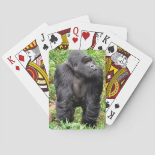 Happy Monkey Playing Cards