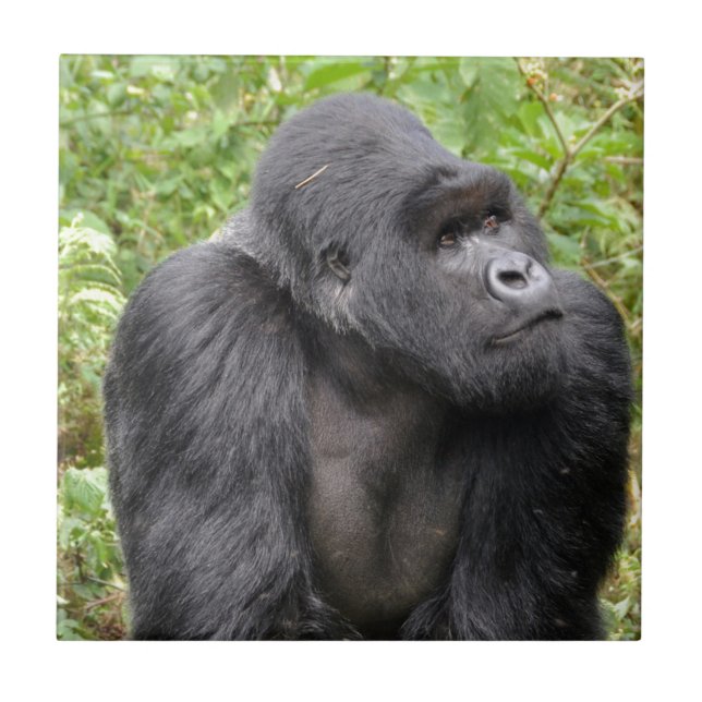 Happy Monkey Tile (Front)