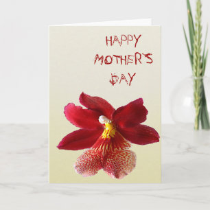 Happy Mother`s Day Card