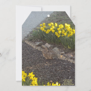 Happy Mother's Day 2025 by RoseWrites Flat Card