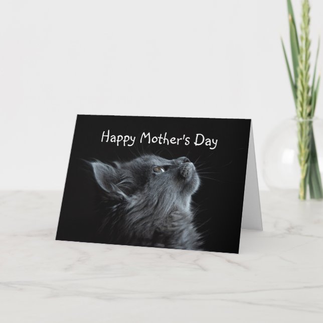 Happy Mother's Day Always Look Up to You Cat Card (Front)