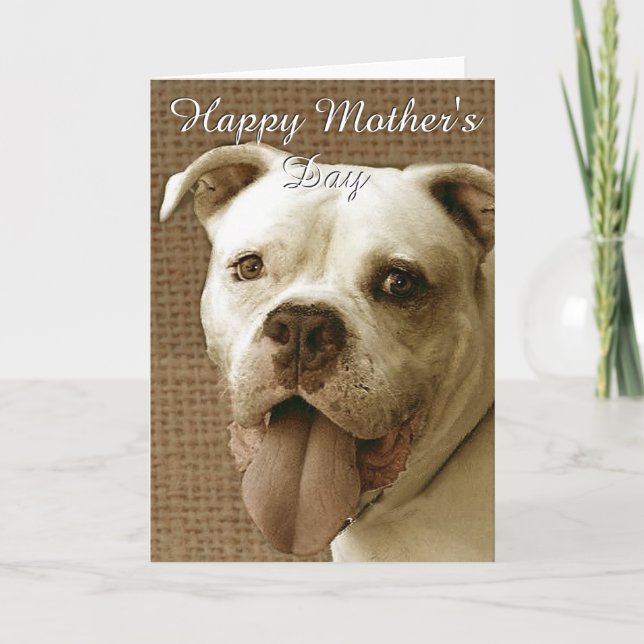 Happy Mother's Day American bulldog greeting card (Front)