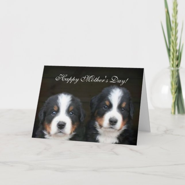 Happy Mother's Day Bernese Puppies greeting card (Front)