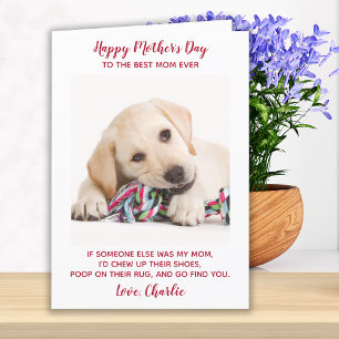 Happy Mothers Day Best Mum Ever Pet Dog Photo Holiday Card