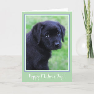 Happy Mother's Day Black Labrador Puppy - Cute Dog Thank You Card
