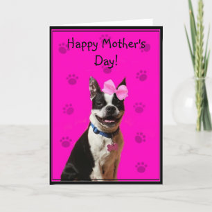Happy Mother's Day Boston Terrier greeting card