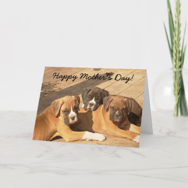 Happy Mother's Day Boxer puppies greeting card (Front)