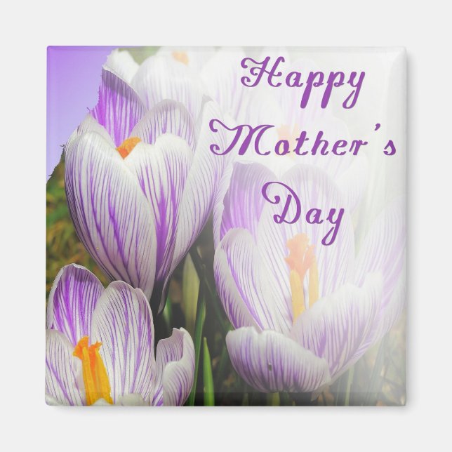 Happy Mother's Day Bright Purple and White Tulips Magnet (Front)