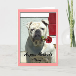 Happy Mother's Day bulldog greeting card