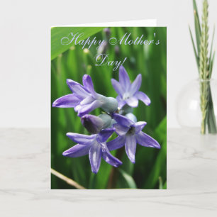 Happy Mother's Day! Card