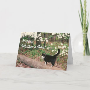 Happy Mother's Day! Card