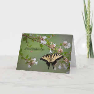 Happy Mother's Day Card