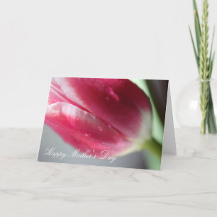 Happy Mother's Day Card