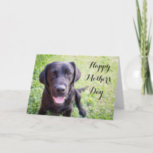Happy Mother's Day Card with black labrador