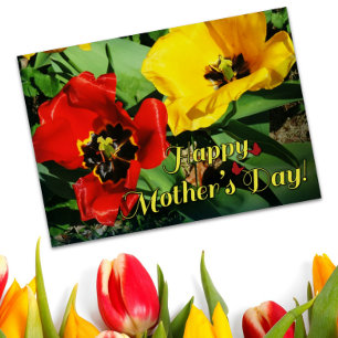 Happy Mother's Day Cheerful Red And Yellow Tulips