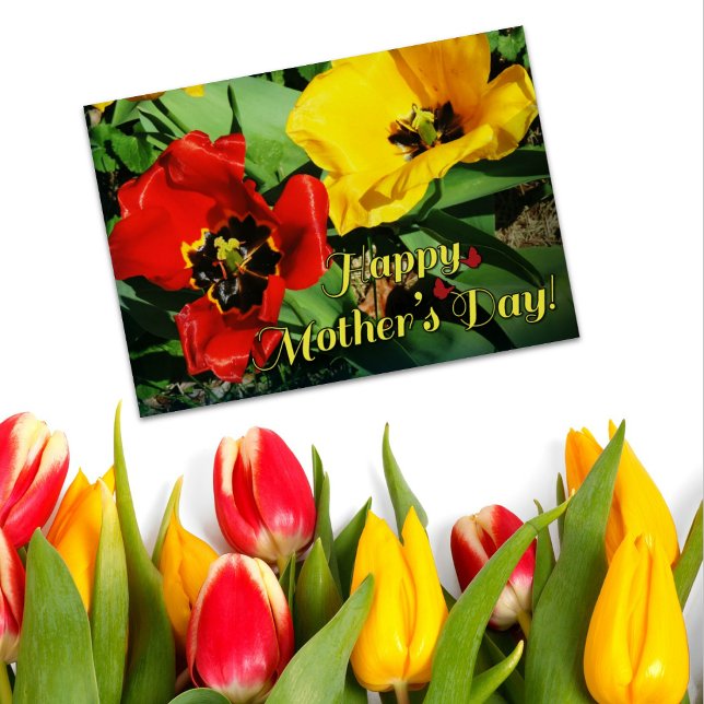 Happy Mother's Day Cheerful Red And Yellow Tulips (Creator Uploaded)