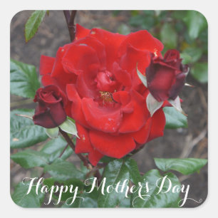Happy Mother's Day Crimson Bouquet #1 Stickers
