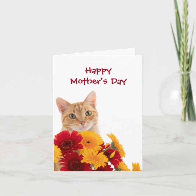 Happy Mother's Day Cute Cat greeting card (Front)