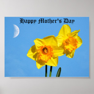 Happy Mother's Day Daffodils Gold Medal Poster