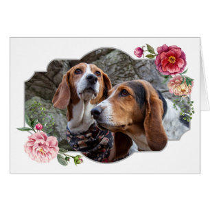 Happy Mother's Day, Dogs