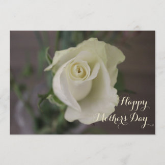Happy Mother's Day Elegant White Rose Card