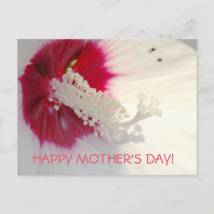 Happy Mother's Day Floral Postcard